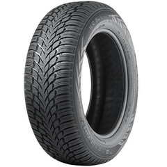 Шина Nokian Tyres Wr Suv 4 255/50R19 107V