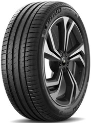 Pilot Sport 4 Suv